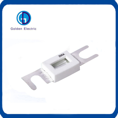 DC Fuses Micro Auto Fuse Car Part Fuse Link 100A 125A Energy Electric Vehicle with Fuse Holder
