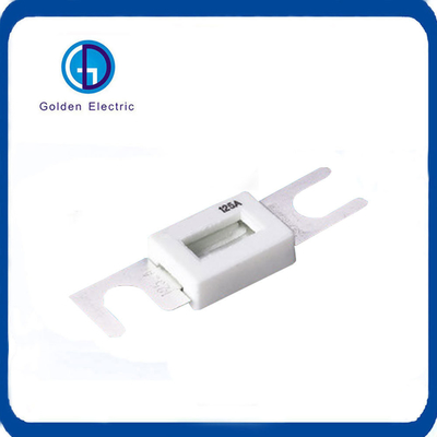 DC Fuses Micro Auto Fuse Car Part Fuse Link 100A 125A Energy Electric Vehicle with Fuse Holder