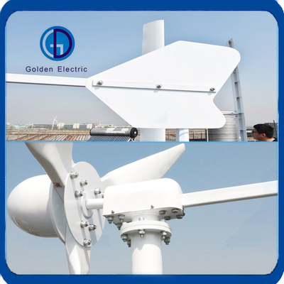 FK Series 1000W AC 48V Home off Grid Horizontal Windmill Wind Turbine Power Generator