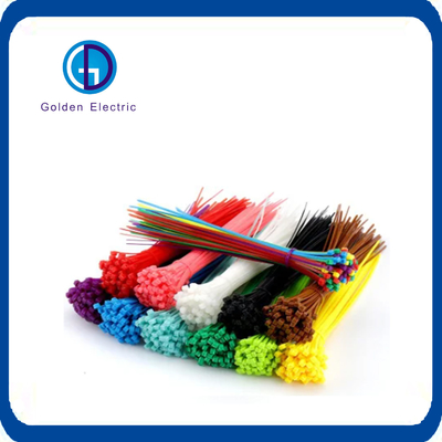 2.5 * 100mm Custom Size Plastic Multi Color Nylon kabelbanden voor 1 stuk Min.Order